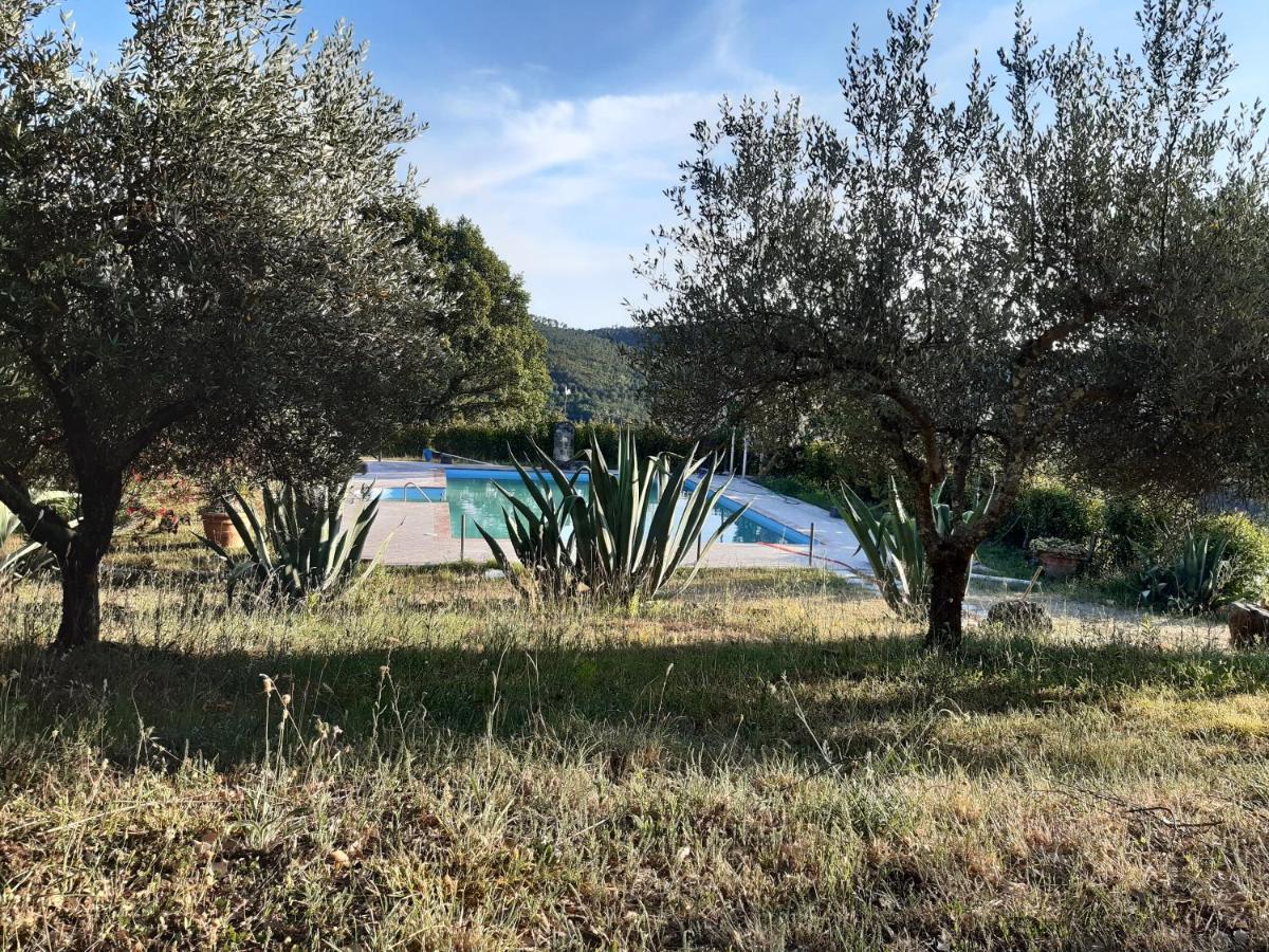 Agriturismo Lampugnano Villa Civitella Marittima Buitenkant foto